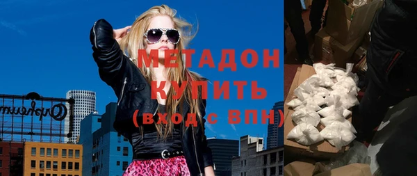 индика Дмитриев