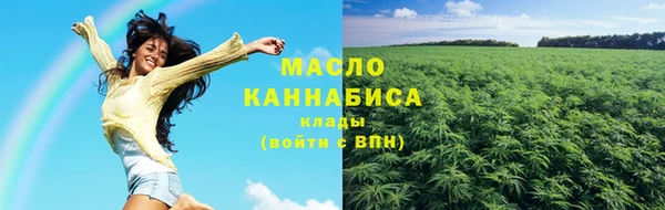 индика Дмитриев
