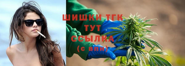 индика Дмитриев