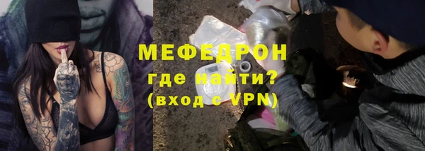 индика Дмитриев