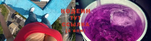 индика Дмитриев