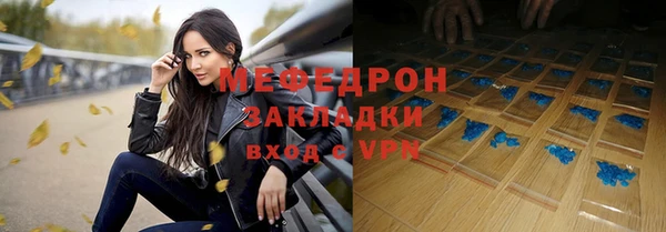 индика Дмитриев