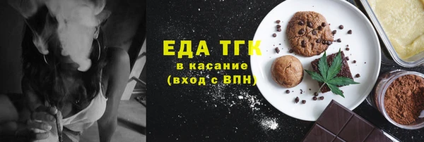 индика Дмитриев
