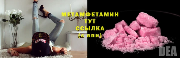 индика Дмитриев