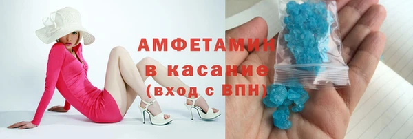 индика Дмитриев