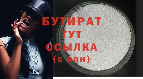 индика Дмитриев