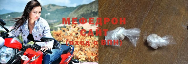 индика Дмитриев