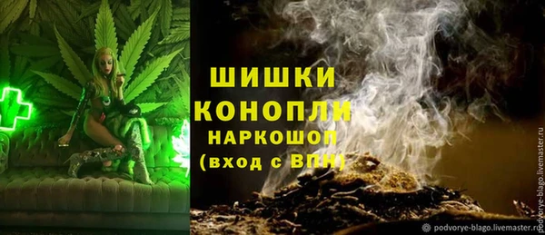 индика Дмитриев