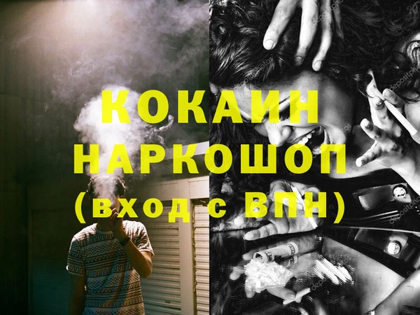 индика Дмитриев