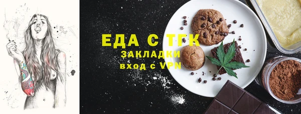 индика Дмитриев
