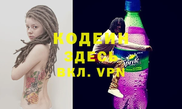 индика Дмитриев