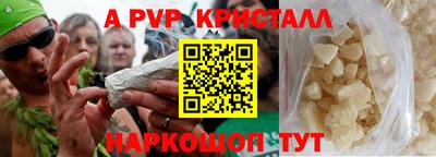 тгк Гай