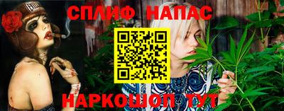 тгк Гай
