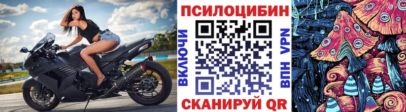 Псилоцибиновые грибы мицелий  Зима 