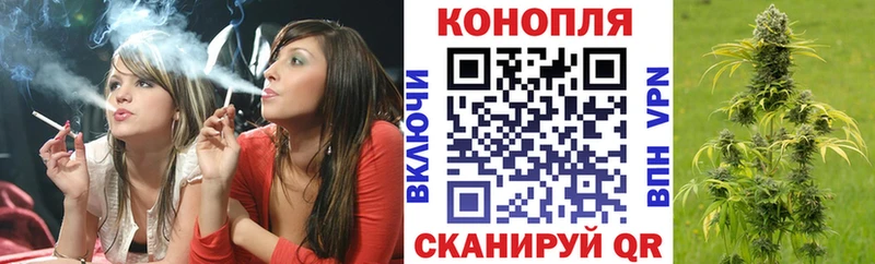 Бошки Шишки OG Kush  где купить наркоту  Зима 